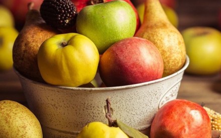 Centrífuga industrial para jugo de frutas