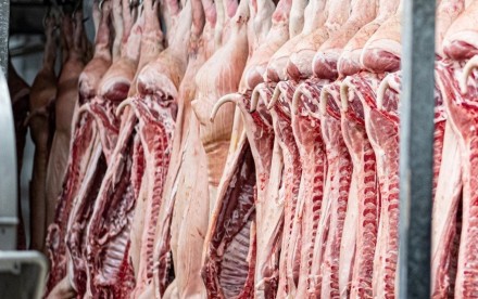 Separadoras centrífugas para frigoríficos